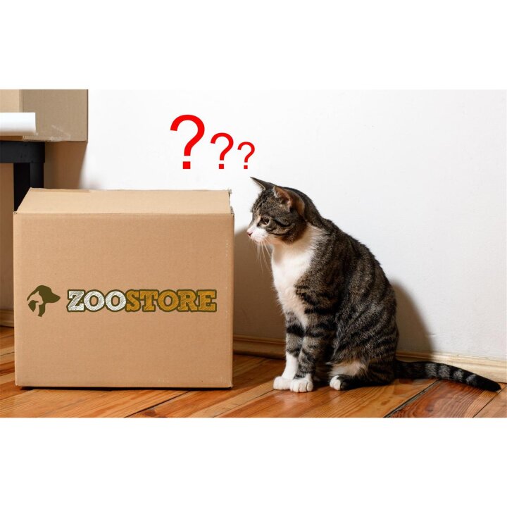 Überraschungsbox Überraschungs-Spielpaket Schatzkiste für alle große Katzen 1 ueberraschungsbox ueberraschungs spielpaket schatzkiste fuer alle grosse katzen