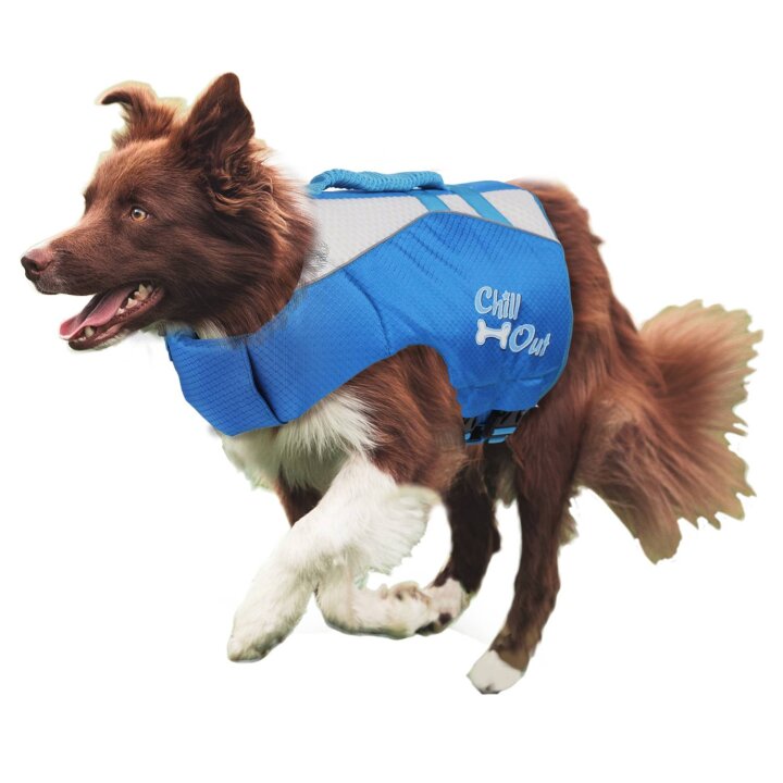 rettungsweste schwimmhilfe fuer hund chill out dog life jacket groesse m